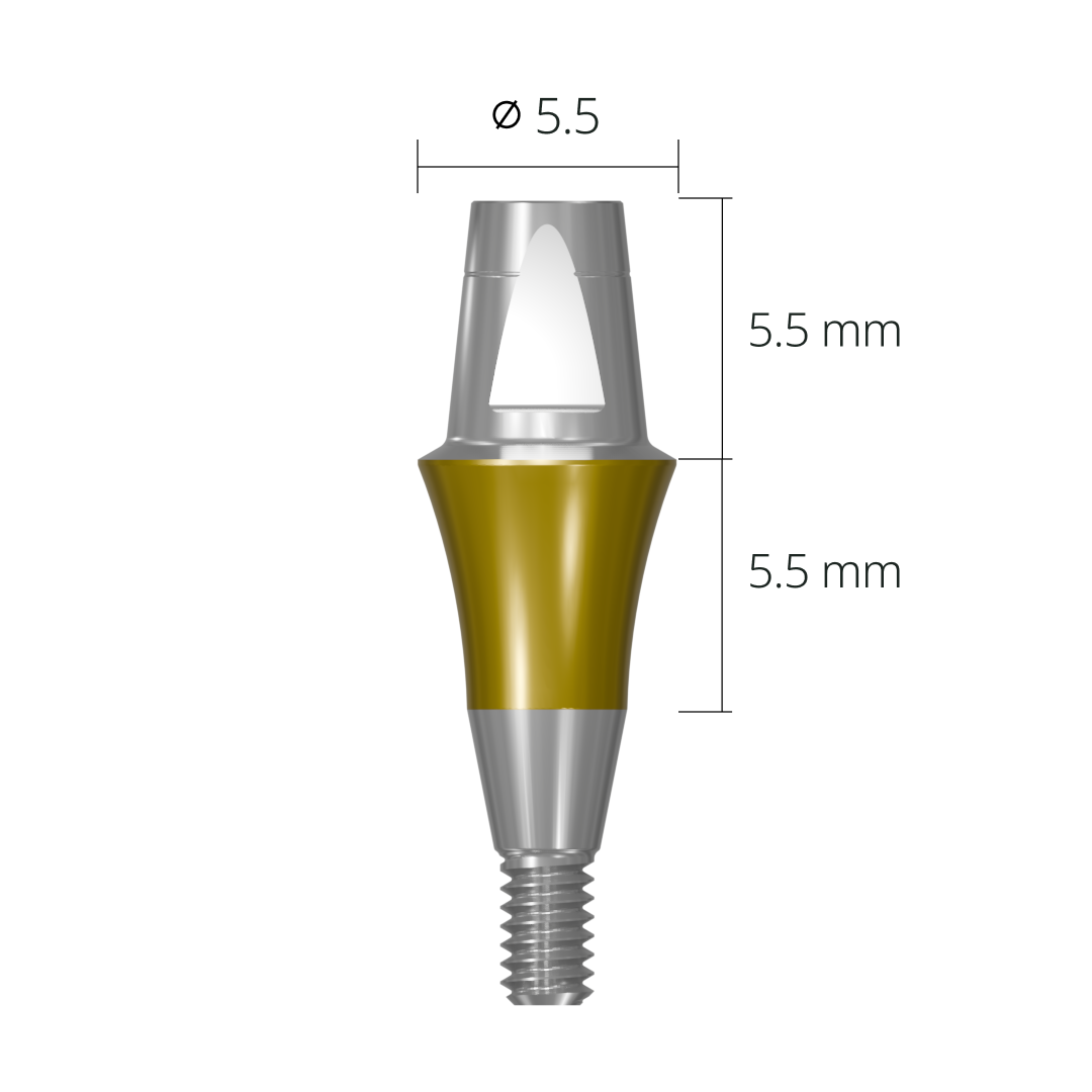 cab5555*dimension*long 5.5 mm