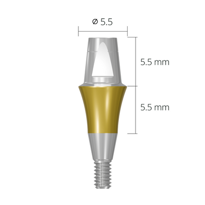 cab5555*abutment*5.5 5.5 long