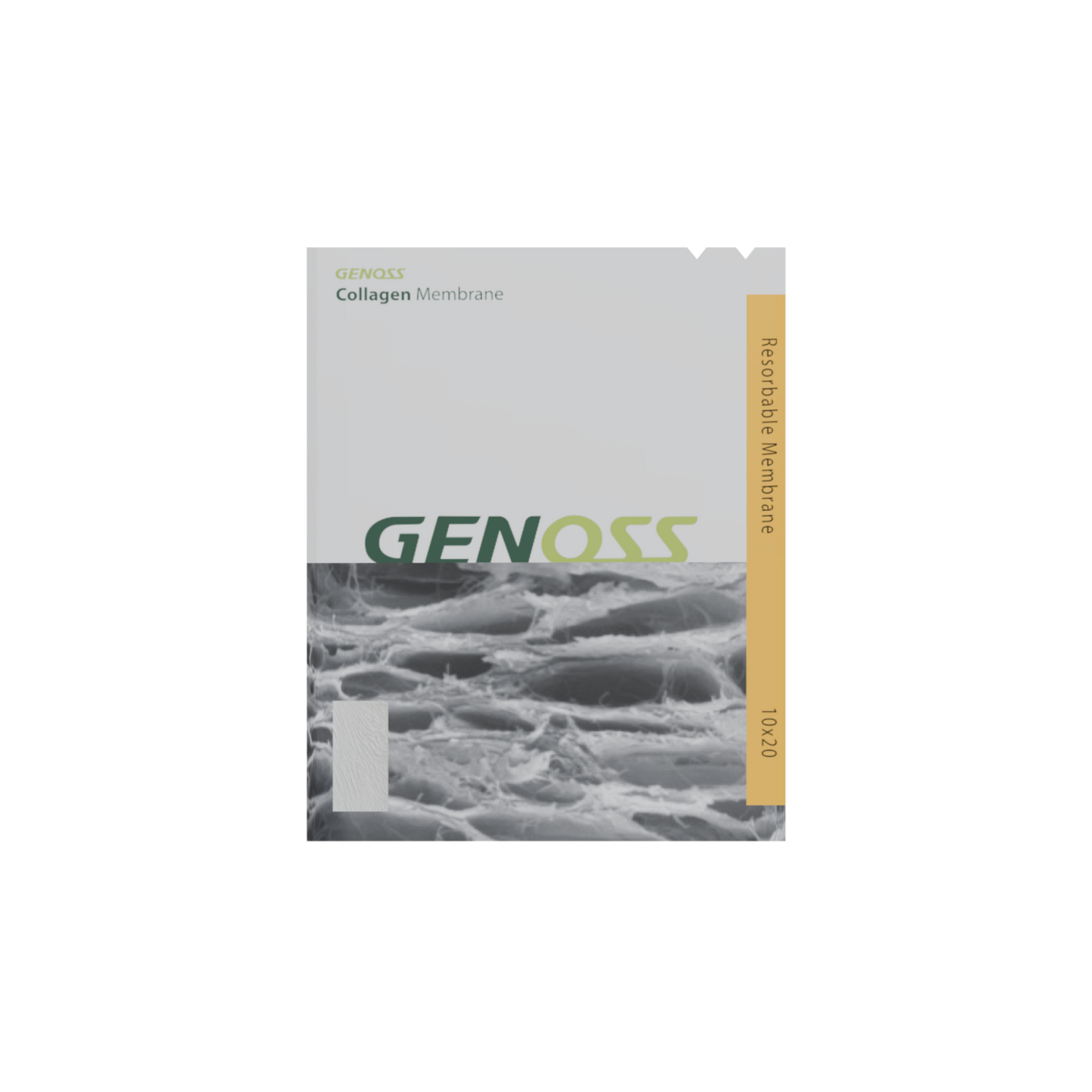 membrane*collagen*10 x 20 (mm)