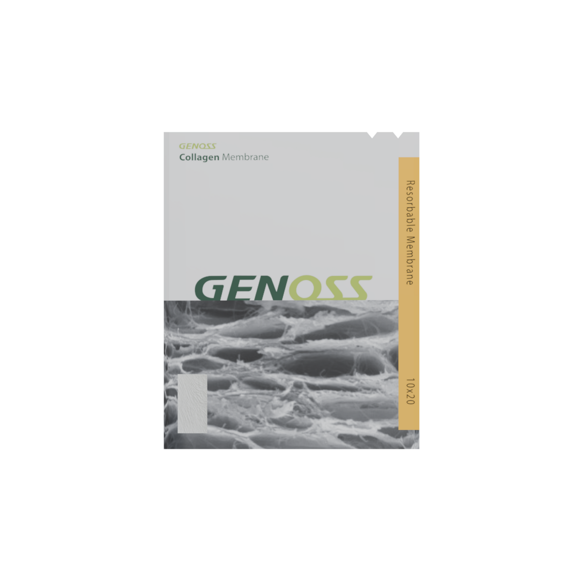 membrane*collagen*10 x 20 (mm)