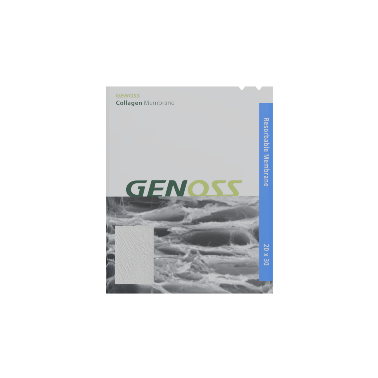 membrane*collagen*20 x 30 (mm)