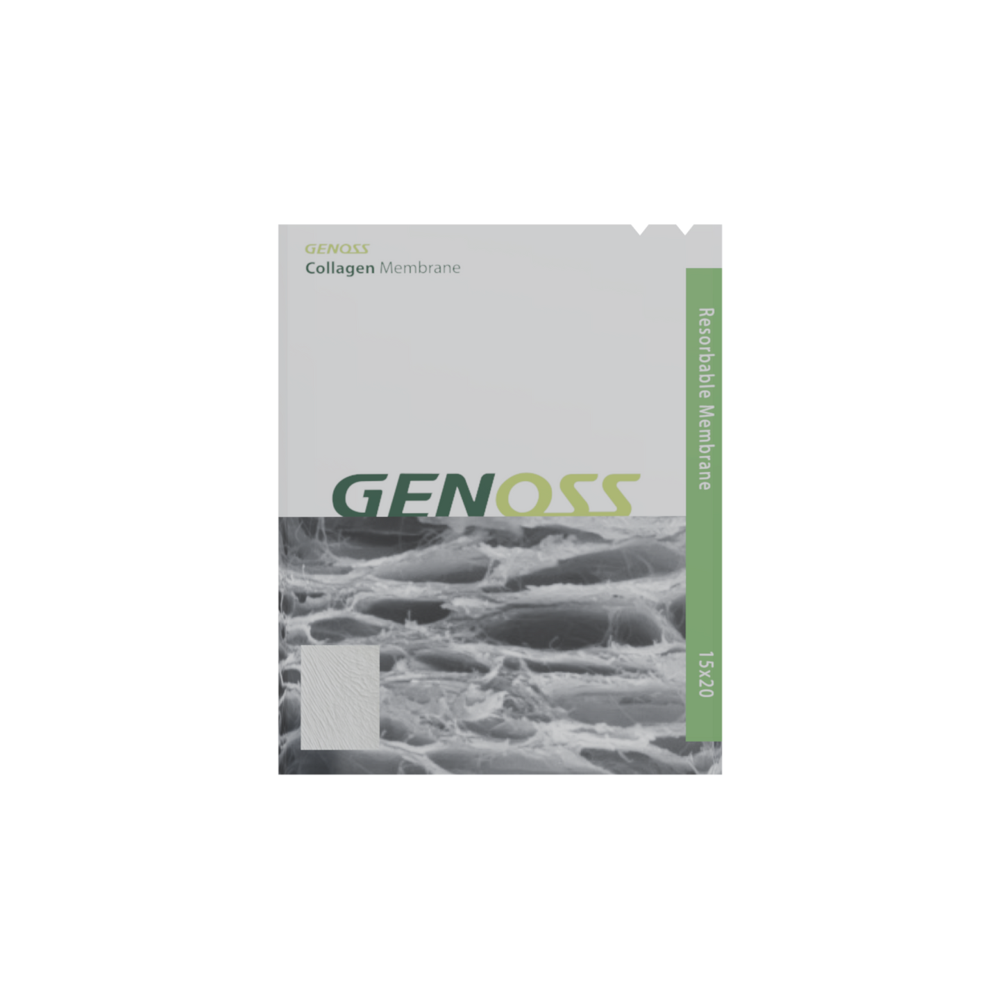 membrane*collagen*15 x 20 (mm)