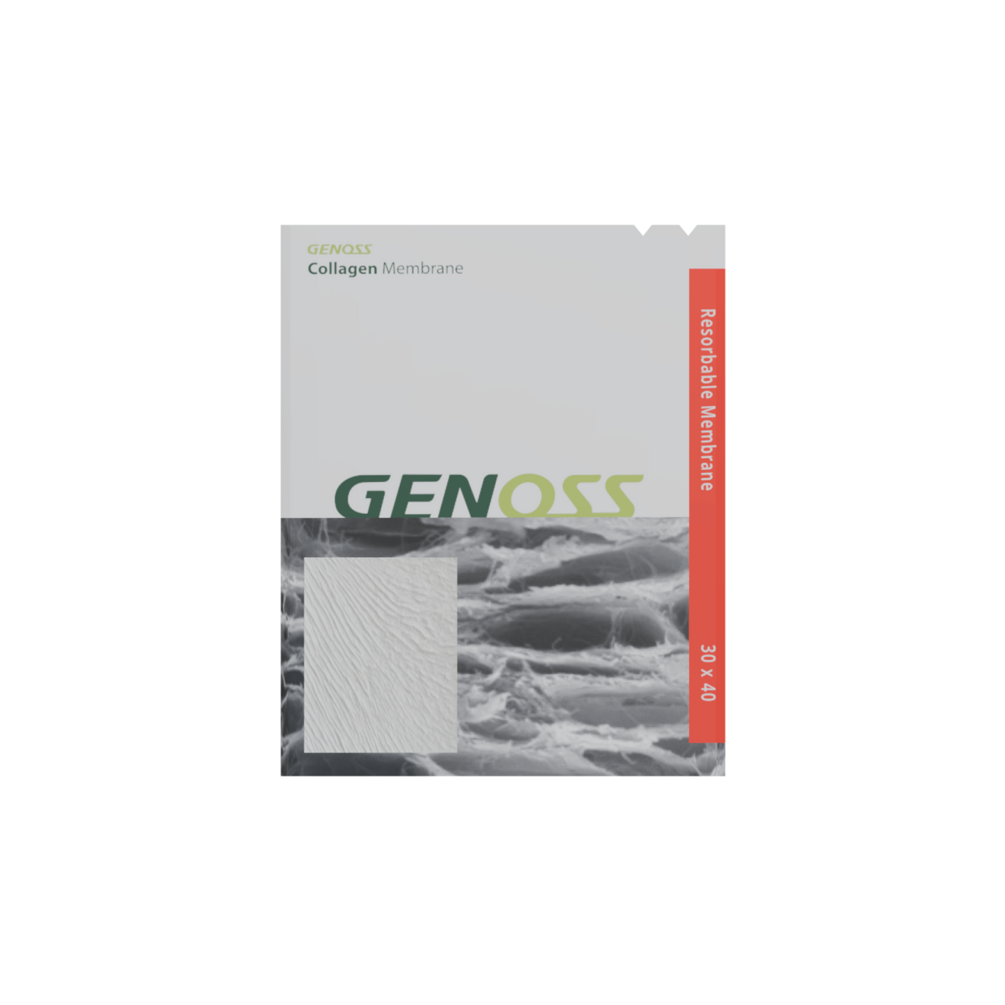 membrane*collagen*30 x 40 (mm)