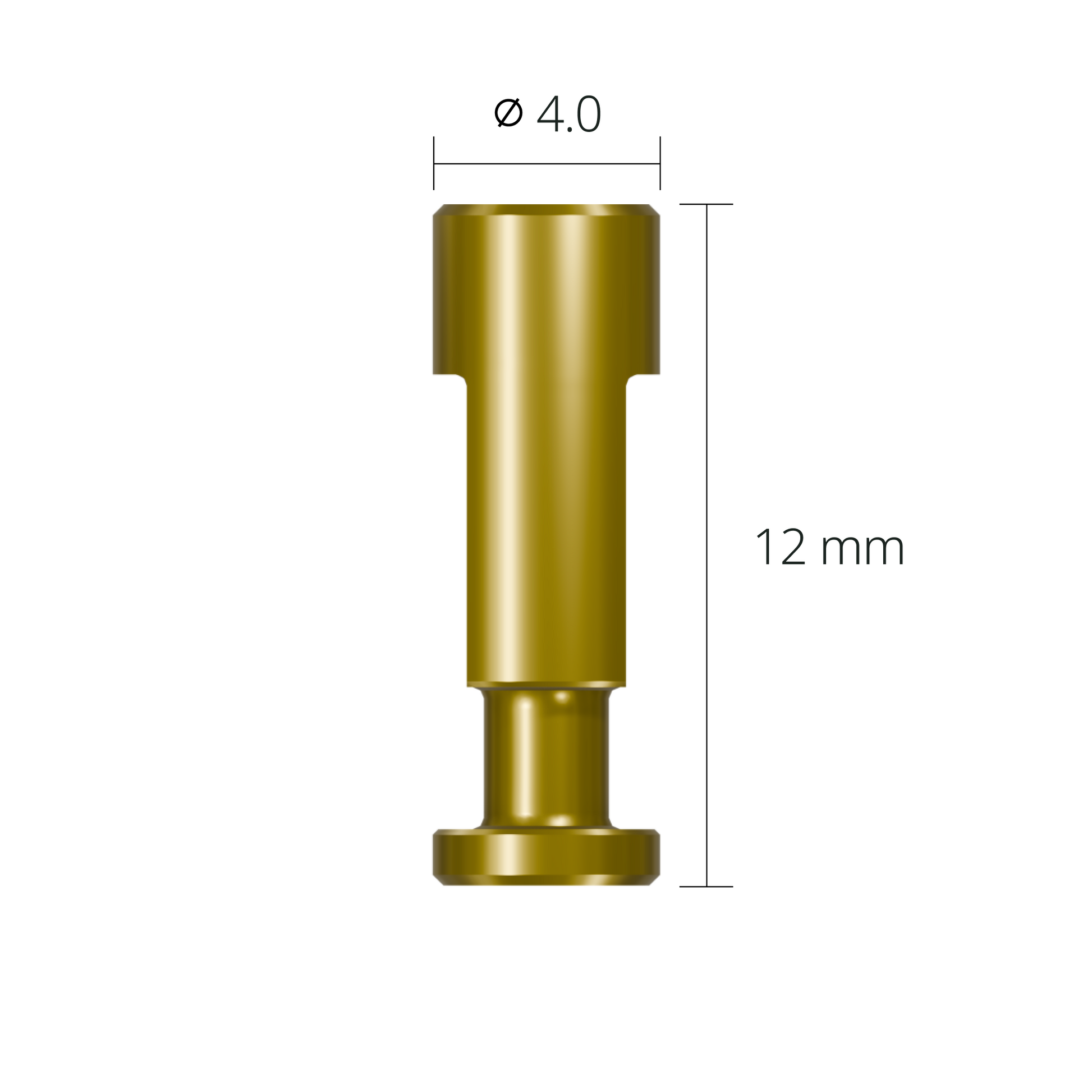 dan34*dimension*dan34