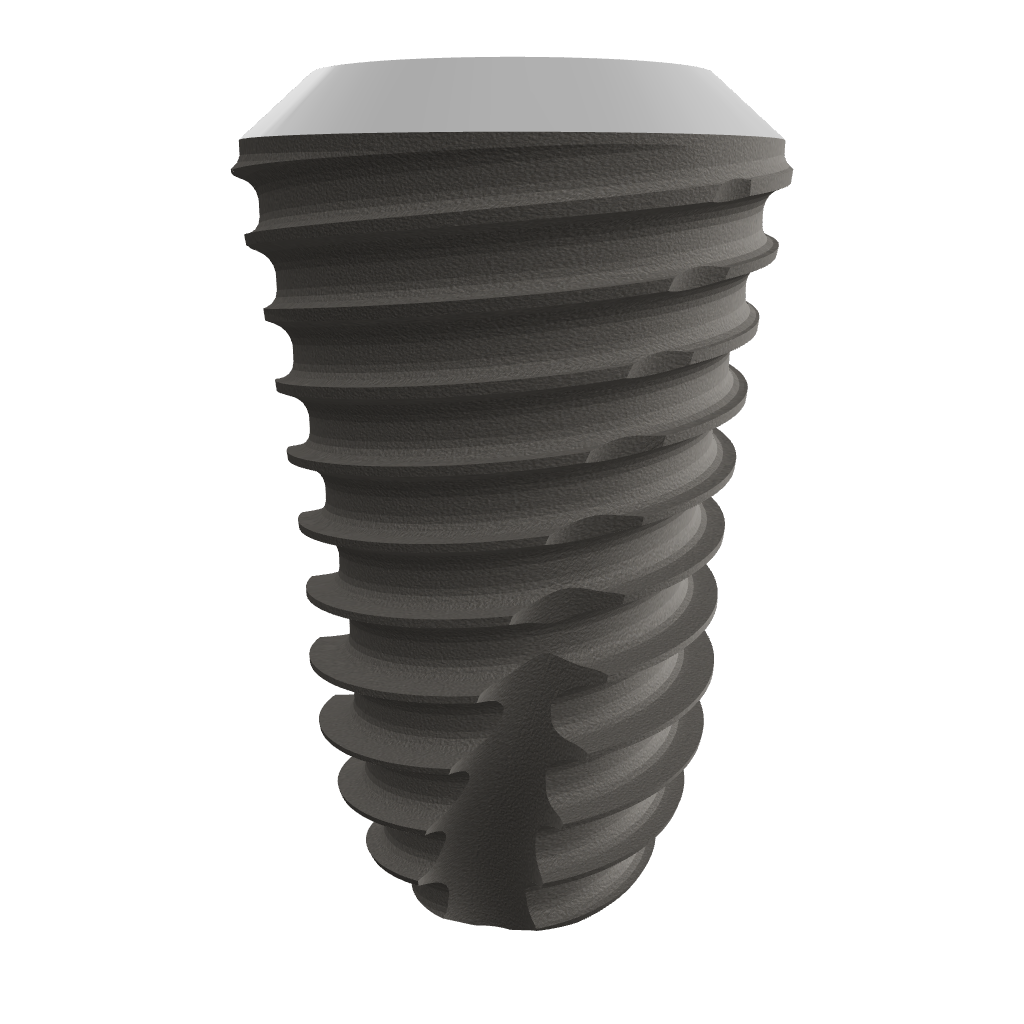 fxs6010*3dmodel*10mm