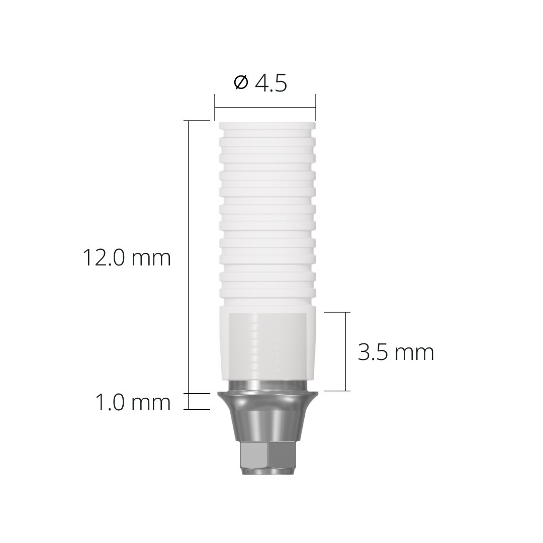 rab45clh*dimension*1.0 mm(hex)