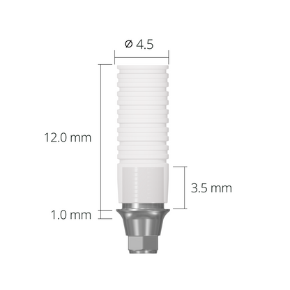 rab45clh*dimension*1.0 mm(hex)