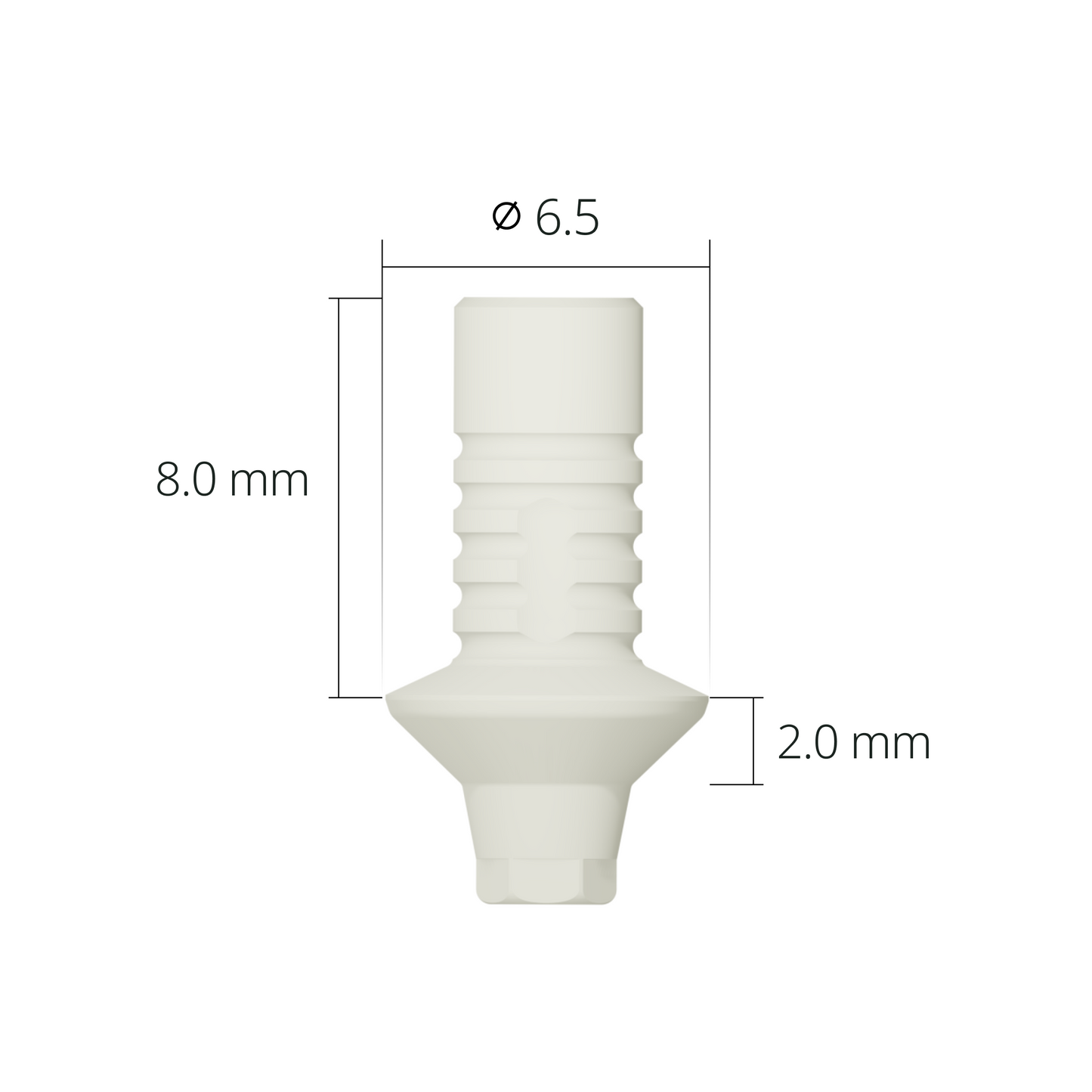 rab6520phl*dimension*Ø6.5 2.0mm hex