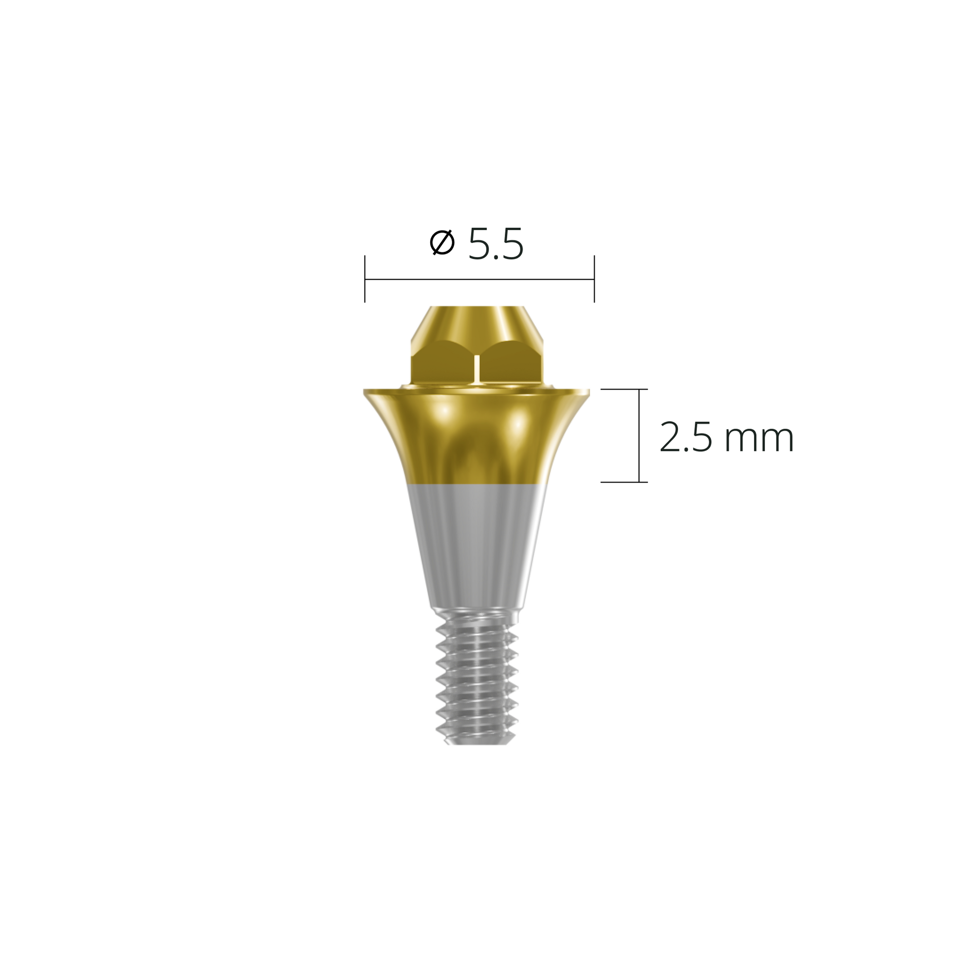 sab5525*abutment*5.5 2.5