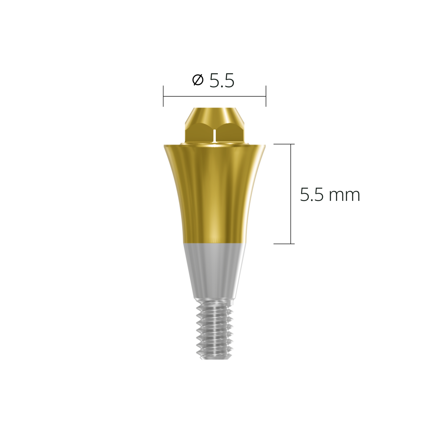 sab5555*abutment*5.5 5.5