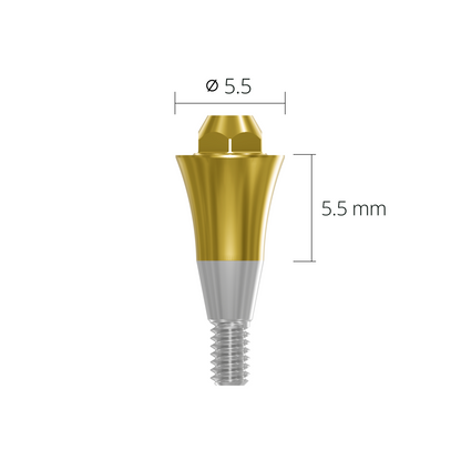 sab5555*abutment*5.5 5.5