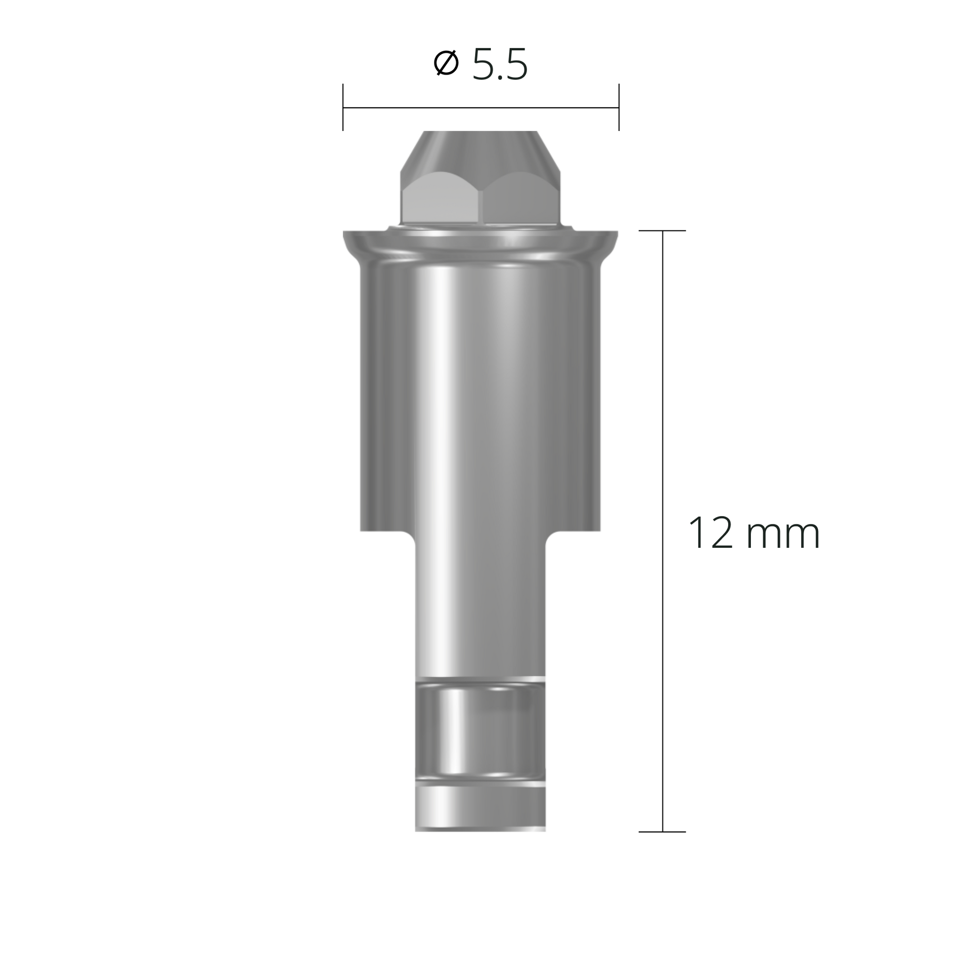 san55d*dimension*Ø5.5