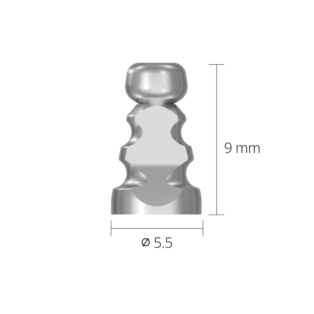 stf55bl*dimension*non-hex Ø5.5